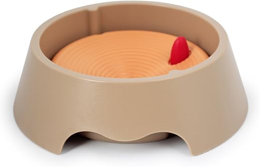 water hole dog bowl
