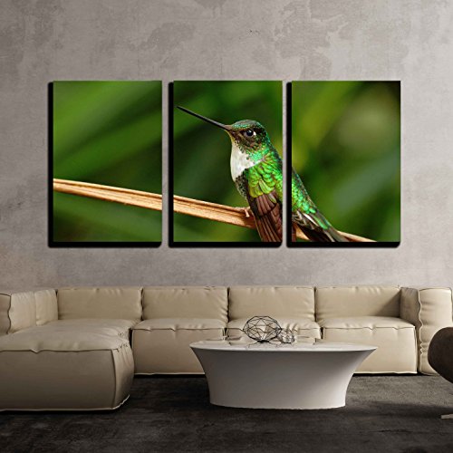 Hummingbird Wall Art Kritters in the Mailbox Hummingbird Wall Art