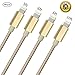 iPhone Charger Youer - 4Pcs 3F 6FT 6FT 10FT iPhone Lightning Cable Nylon Braided 8pin to USB Charging Cord for Apple iPhone 7/7 plus/6/6s/se/5s/5c/5,iPad Air,Mini/iPod (Gold & Silver)