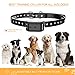 Dog Training Collar - Rechargeable IPX7 Waterproof Training Collar for Dogs with 3 Training Modes (Beep, Vibration and Shock), Up to 350 Yards Remote Range for Small Medium Large Dogs
