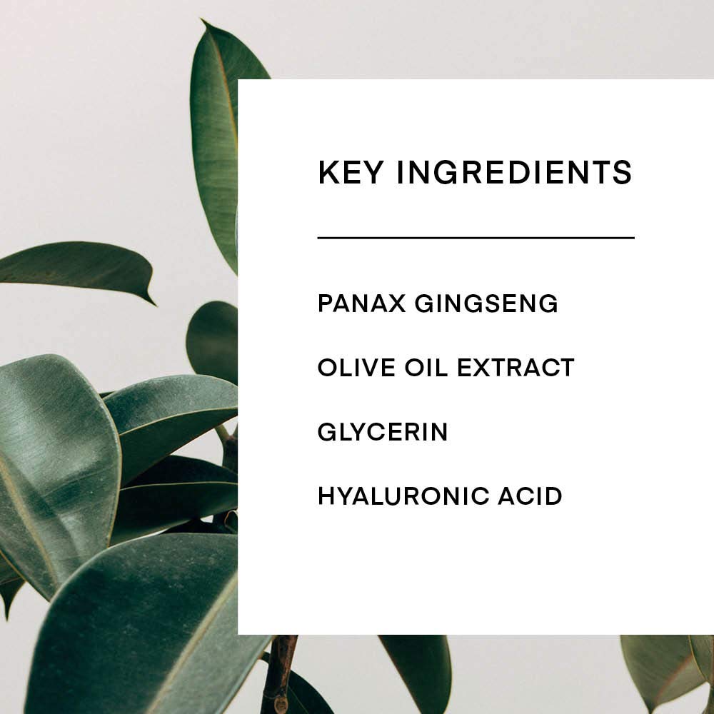 Download Amazon Com Cel Nanotech Stem Cell Face Mask Set Hydrating Anti Aging Brightening Tightening Facial Masks Biocellulose Sheet Panax Ginseng Glycerin Hyaluronic Acid Beauty PSD Mockup Templates