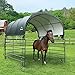 ShelterLogic 10' x 10' Powder Coated Green Corral Shelter Livestock Shade