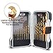 BENOX BX-109335 Twist Metal Titanium Drill Bit Set 15 Pieces Bits Kit in a Durable Storage Box for DIY'er and Professionals (15Pcs Drill bits)