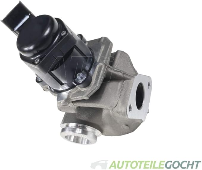 Valeo 700413 Válvulas de Escape: Amazon.es: Coche y moto