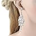 EVER FAITH Bridal Silver-Tone Teardrop Cluster Chandelier Earrings Clear Austrian Crystal