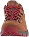 Danner Men's Mountain 600 Low 3