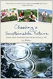 Image de Choosing a Sustainable Future: Ideas and Inspiration from Ithaca, NY