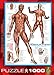 EuroGraphics Muscular System Puzzle (1000-Piece) (6000-2015)