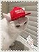 Unekorn Ultra Comfort Adjustable Make Ameowica Great Again MAGA Trump Slogan Cat Hat Pet Costume for Halloween Parties and Instagram Pictures Make America Great Again Cat Hat