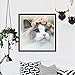 Lavany Clearance!Cat Full Drill 5D Diamond Painting DIY Diamond Paints by Number Kits Rhinestone Pasted Embroidery Wall Decorations (Cat)
