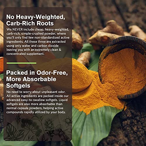 Doctor’s Recipes Turmeric Softgel 400mg Curcuminoids (95) with Ginger