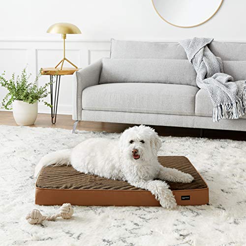 amazonbasics dog bed