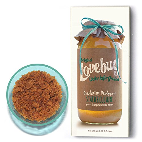 image for GIFTER'S PACK OF 6 | Water Kefir Grains by Lovebug | Live Organic Star
