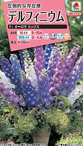 Amazon タキイ種苗 デルフィニウムf1 オーロラミックス 花 Amazon タキイ種苗 デルフィニウムf1 オーロラミックス 花