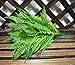 4 Pack Artificial Plants Boston Fern Bush Plant Shrubs,Artificial Boston Fern Plants Greenery Bushes Flower for House Office Garden Indoor Outdoor Decor