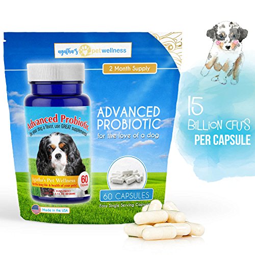 Agatha’s Advanced Probiotics for Dogs 2 Month Supply 15 Billion CFUs