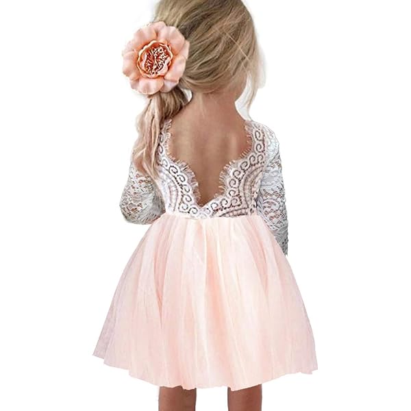 Amazon.com: Flower Girl Dress for Toddler Baby Girls – Lace Tulle