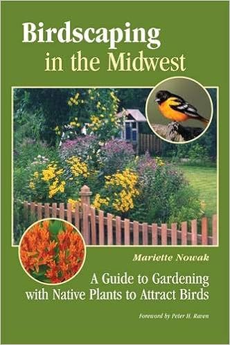Birdscaping In The Midwest A Guide To Gardening With Native