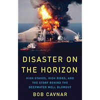 Disaster on the Horizon: High Stakes, High Risks, and the Story Behind the Deepwater Well Blowout book cover