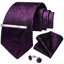 DiBanGu Silk Paisley Ties for Men Woven Necktie and
