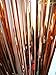 ShiDianYi Metallic Foil Fringe-Backdrops- Tinsel Party/Window/Door Decorative Fringe Curtains (3FTX8FT, Rosegold)