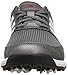 adidas Men's Tech Response Golf Shoe, Iron Metallic/White, 11.5 W US