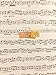 Sticky Notes for Sarcastic Musician