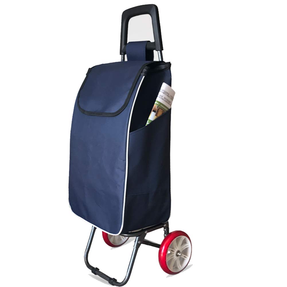 multipurpose trolley bag with foldable chair