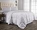 Hanna Kay Twin Comforter, Year Round Down Alternative Comforter, Duvet Insert, Fluffy,Warm, and Soft (Twin)