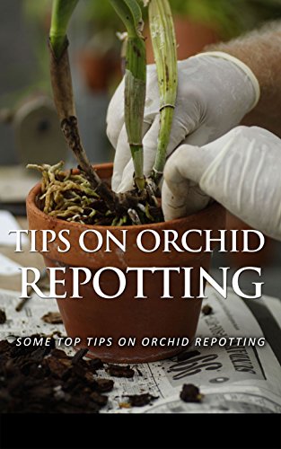 Tips on Orchid Repotting: Some Top Tips on Orchid Repotting