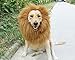 6MILES 1 Pcs Light Brown Adjustable Washable Comfortable Funny Lion Mane Wig with Ears for Dog and Cat Costume Pet Fancy Hair Clothes Dress, Large