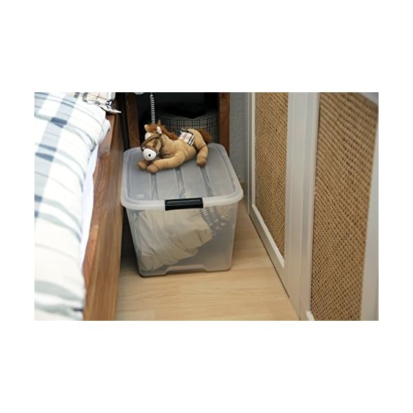 Iris Ohyama Aufbewahrungsbox mit Deckel, 45L, 2er-Set, Transparent, SchnappverschlÃ¼sse mit Griffen, Stapelbar, Stark & Langlebig, FÃ¼r Kleidung, Garage, Zuhause, BÃ¼ro, Plastikbox, Lagerung TB-45 – Bild 8