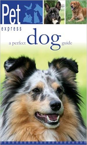 Buy A Perfect Dog Guide A Guide To Selection Care Nutrition Rearing Training Health Breeding Sports And Play Pet Express Book Online At Low Prices In India A Perfect Dog Guide