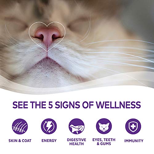 Wellness Grain Free Wet Cat Food Variety Pack - Image 5