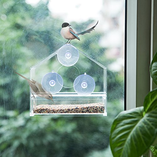 Acrylic Window Bird Feeder with Sliding Seed Tray and Strong Suction Cups Easy to Clean Bird