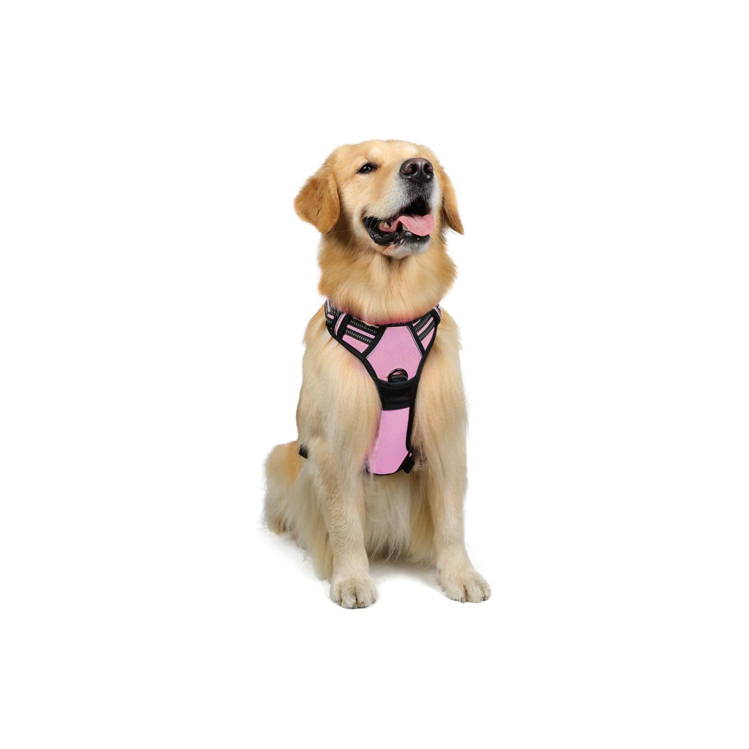 rabbitgoo Dog Harness,NoPull Pet Harness with 2 Leash Clips,Adjustable