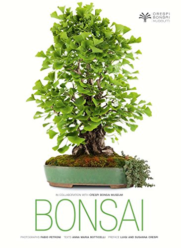 Bonsai by Anna Maria Botticelli