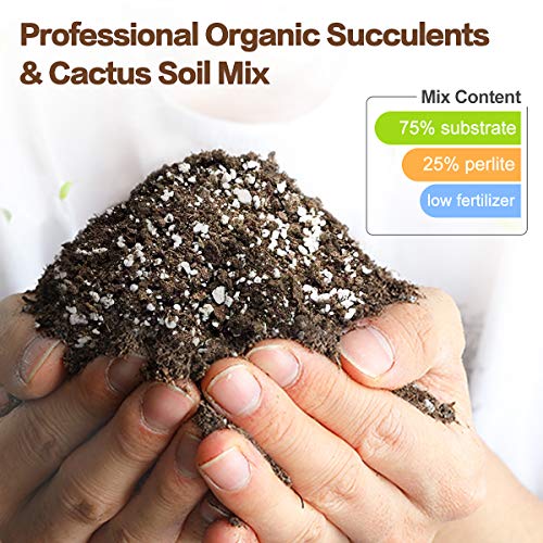 Succulents & Cactus Soil Mix, Professional Potting Soil, Fast Draining