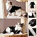 Handsome Prince Cat Bridegroom Wedding Tuxedo Faux Twinset Small Dog Formal Attire Party Birthday Holiday Outfit Halloween Costume (Black Tuxedo, X-Large)