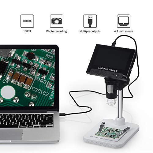 2 Microscope+WACCIU+Magnification+Insectobservation+Identification