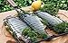 Charcoal Companion SS-100-40 Triple Fish Grilling Basket / 11 by 11 inches – Barbecue Fish Easily