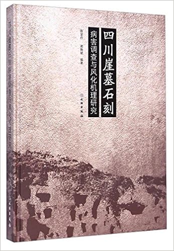 四川崖墓石刻病害调查与风化机理研究 陈显丹 谢振斌 Amazon Com Books 四川崖墓石刻病害调查与风化机理研究 陈显丹 谢振斌 Amazon Com Books