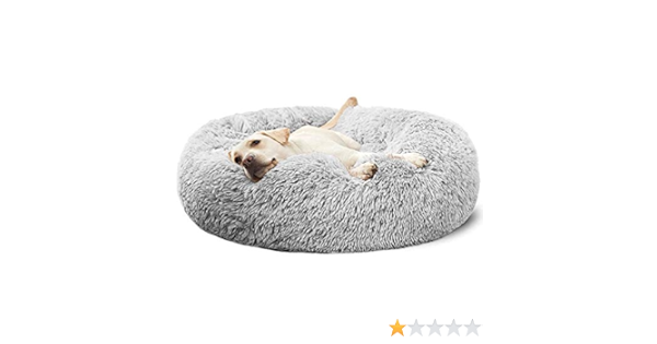 cheap dog beds amazon
