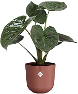 elho Jazz Round 23cm Flower Pot Indoor Plant Pot 100% Recycled Plastic Red view 3