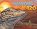 Survival at 120 Above