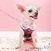 Didog Adjustable Pets Soft Breathable Mesh Vest Harness and Leash Set with Cute Bell for Puppy Small Medium Dogs and Cats(Pink L:Chest 14-20.5