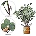 CEWOR Artificial Silver Dollar Eucalyptus Stems 6pcs Artificial Eucalyptus Leaves Fake Plants Artificial Leaves for Home Decoration