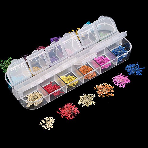 image for MEILINDS Natural Real Dried Flower Case Nail Art Tips Sticker Decals D