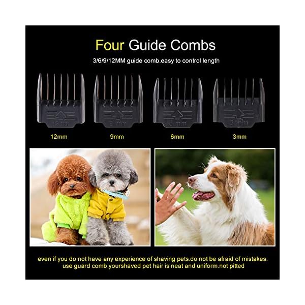 dog clipper lengths