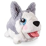 Chubby Puppies & Friends - Large Plush - Husky
